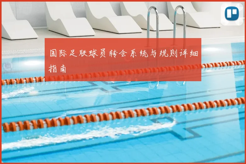 国际足联球员转会系统与规则详细指南